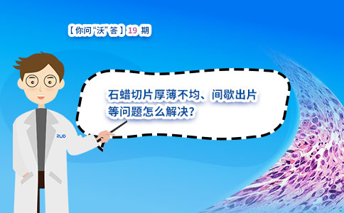 石蜡切片厚薄不均、间歇出片等问题怎么解决？