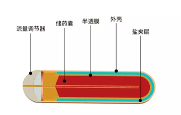 缓释泵内部结构图