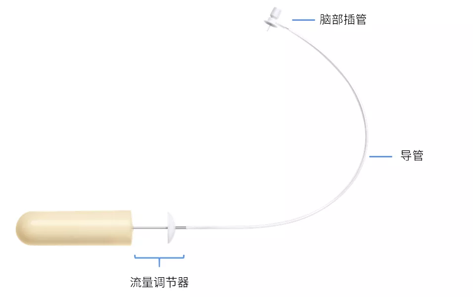 导管连接、灌充和孵育
