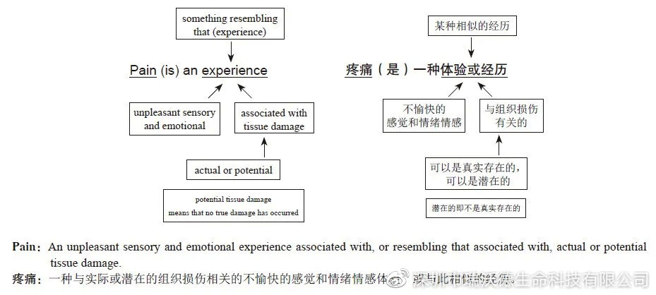 疼痛定义句型结构解析