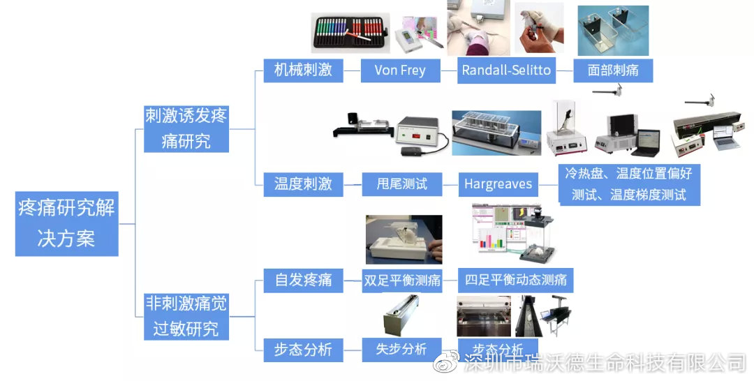 疼痛研究解决方案