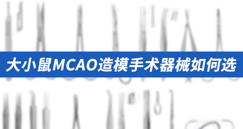 大小鼠MCAO造模手术器械的整体解决方案来了！