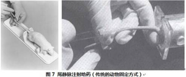 静脉注射给药