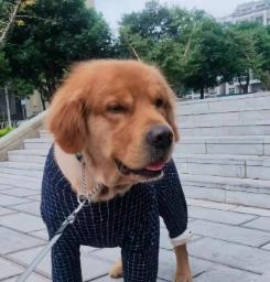 微笑瞬间