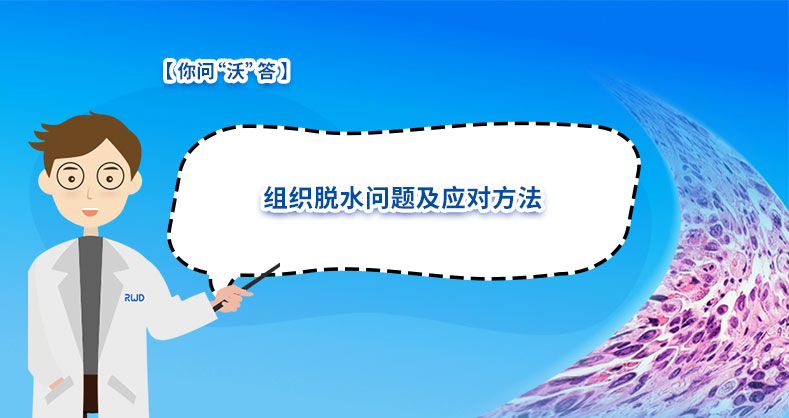 组织脱水问题及应对方法