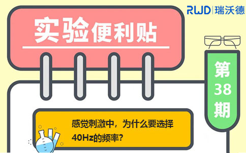 感觉刺激中，为什么要选择40Hz的频率？