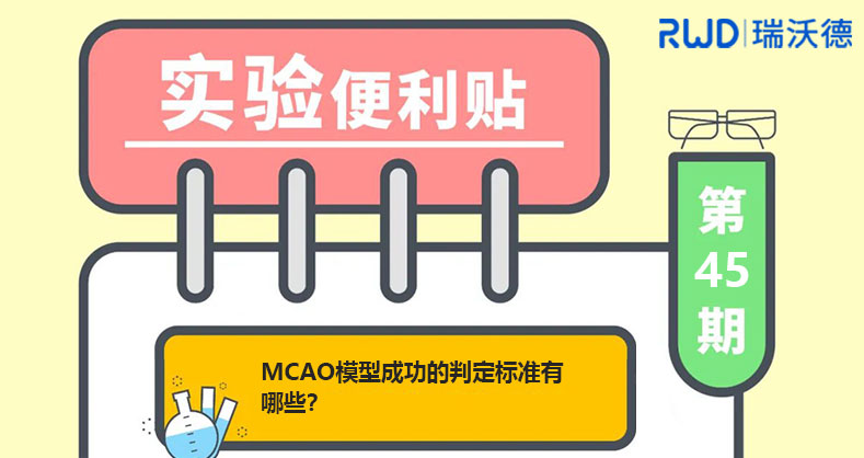 MCAO模型成功的判定标准