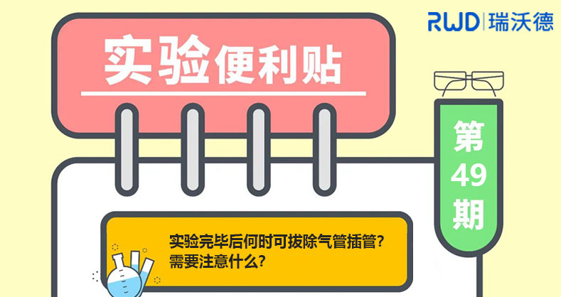 实验完毕后何时可拔除气管插管？需要注意什么？