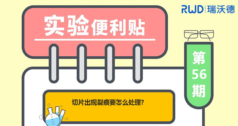 切片出现裂痕要怎么处理？