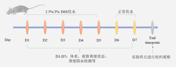 必威官方首页官网betway病理切片机在炎症性肠病（IBD）模型中的应用